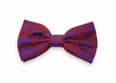 Vista adicional de [MF12183/2-CO] Corbatin Bruno Cassini Modelo Modelo Mf12183 2 - ADAMS