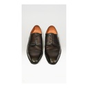 Zapato Bruno Cassini Marron Modelo Zp-50224-cassini